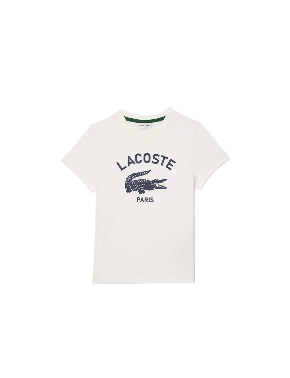 T-shirt bambini girocollo in jersey di cotone e maxi stampa logo TJ3003 Lacoste
