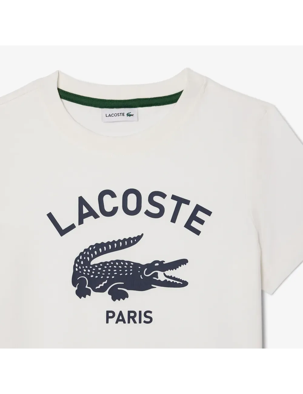 T-shirt bambini girocollo in jersey di cotone e maxi stampa logo TJ3003 Lacoste